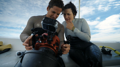 Imagen de Cazadores de... (T1): Silvia Abril - 3