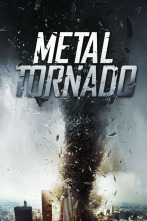 Imagen de Tornado magnético - 2