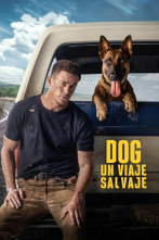 Imagen de Dog. Un viaje salvaje - 2