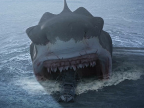 Imagen de Megalodón - 1