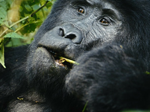 Imagen de Cazadores de... (T1): Mario Vaquerizo - 1