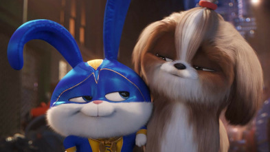 Imagen de Mascotas 2 - 5