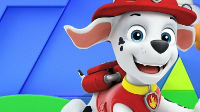 La Patrulla Canina (T9): Los cachorros salvan a un flamenco bailarín; Los cachorros salvan a una alcaldesa y a su miniatura.