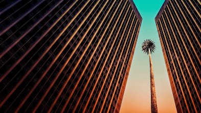 Imagen de Suits LA (T1): Ep.12 El enfado de Sylvester - 5