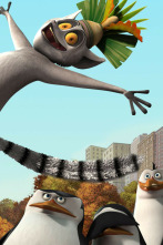 Imagen de Los pingüinos de... (T2): La visita del tío Nigel; Maurice en paz - 4