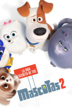 Imagen de Mascotas 2 - 4