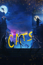 Imagen de Cats - 4