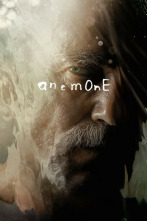 Imagen de Anémona - 4
