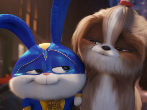 Imagen de Mascotas 2 - 3