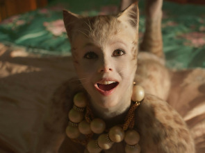 Imagen de Cats - 3