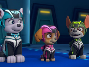 PAW Patrol: Jet To The Rescue