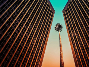 Imagen de Suits LA (T1): Ep.12 El enfado de Sylvester - 3