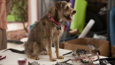 Imagen de Robo-Dog - 3