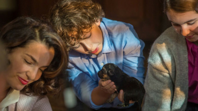 Imagen de Camino hacia la libertad - 3