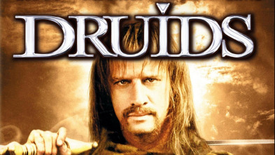 Imagen de Vercingetorix - 3