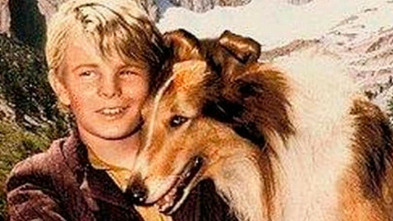 Imagen de Las colinas pintadas - 3