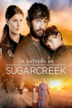 Imagen de Un extraño en Sugarcreek - 2