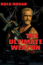 Imagen de Arma final - 2