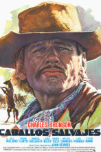 Imagen de Caballos salvajes - 2