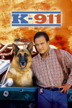 Imagen de Superagente K-911 - 2