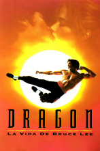 Imagen de Dragón, la vida de Bruce Lee - 2