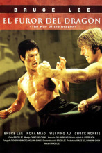 Imagen de El furor del dragón - 1