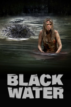 Imagen de Black Water - 2