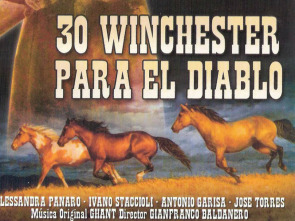 Imagen de 30 Winchester para El Diablo - 1