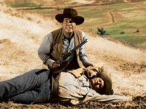 Imagen de Los indomables - 1