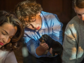 Imagen de Camino hacia la libertad - 1