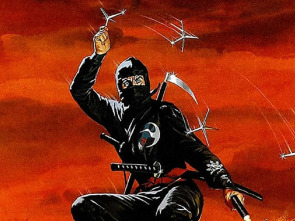Imagen de La venganza del ninja - 1