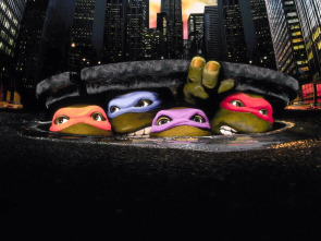 Imagen de Teenage Mutant Ninja Turtles - 1