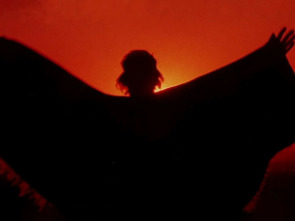 Imagen de Caza criminal - 1