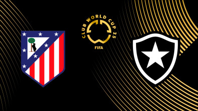 Imagen de Jornada 3: At. Madrid - Botafogo - 5