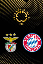 Imagen de Jornada 3: Benfica - Bayern Múnich - 4