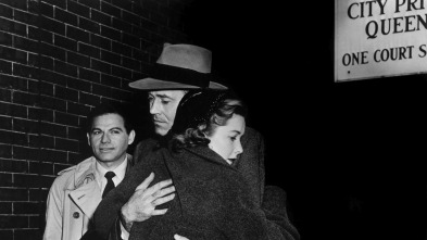 Imagen de Falso culpable - 11