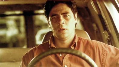 Imagen de Traffic - 9
