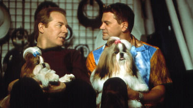 Imagen de Very Important perros - 7