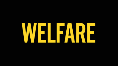 Imagen de Welfare - 5