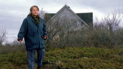 Imagen de Eclipse total (Dolores Claiborne) - 5