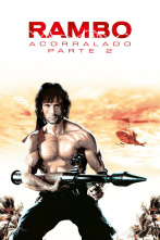 Imagen de Rambo: Acorralado - Parte II - 12