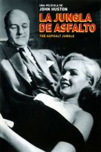 Imagen de La jungla de asfalto - 15