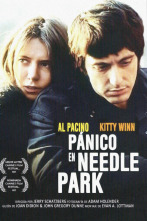 Pánico en Needle Park