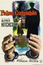 Imagen de Falso culpable - 10