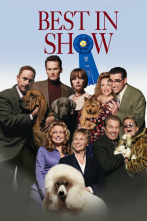 Imagen de Very Important perros - 6