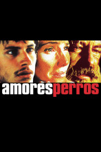 Amores perros