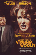 Imagen de ¿Quién teme a Virginia Woolf? - 14