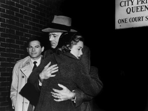 Imagen de Falso culpable - 9