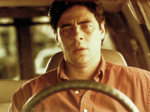 Imagen de Traffic - 7