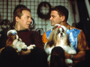 Imagen de Very Important perros - 5